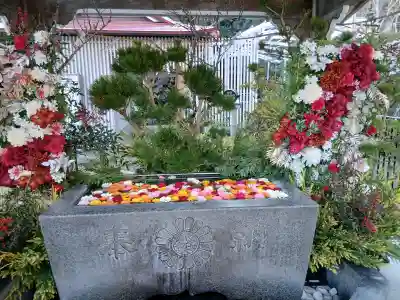 金蛇水神社の{uncategorized: "未分類", other: "その他", undefined: "問題あり", building: "その他建物", grave: "お墓", sacred_gate: "鳥居", guardian: "狛犬", statue: "像", buddha: "仏像", history: "歴史", nature: "自然", garden: "庭園", animal: "動物", pagoda: "塔", temizu: "手水舎", mountain_gate: "山門・神門", sanctuary: "本殿・本堂", subordinate: "末社・摂社", art: "芸術", scenery: "景色", jizo: "地蔵", ema: "絵馬", goshuin: "御朱印", omikuji: "おみくじ", items: "授与品その他", amulet: "お守り", goshuincho: "御朱印帳", eats: "食事", festival: "お祭り", votive_dance: "神楽", shichigosan: "七五三参", wedding: "結婚式", experience: "体験その他", initially: "初詣", around: "周辺", anti_infection: "感染症対策"}