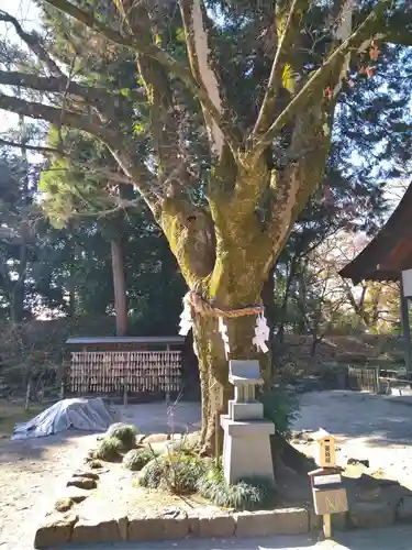 武田神社の庭園