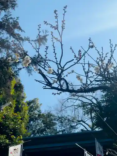 永谷天満宮(神奈川県)