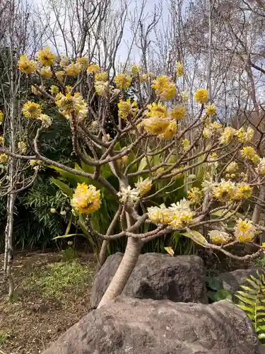 常泉寺(神奈川県)