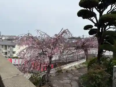 不動寺(大阪府)