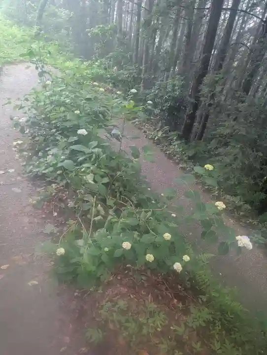 サムハラ神社 奥の宮(岡山県)