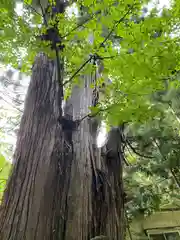 磐椅神社(福島県)