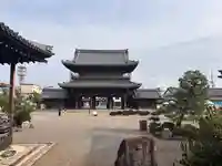 大通寺(長浜御坊)の山門・神門