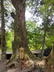 水屋神社(三重県)