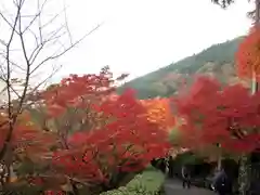 善峯寺(京都府)