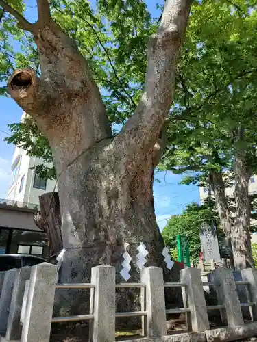 阿邪訶根神社の自然