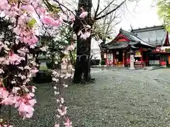 塩屋八幡宮(熊本県)