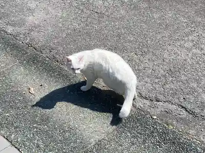 王子神社(徳島県)
