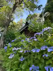 田端神社(東京都)