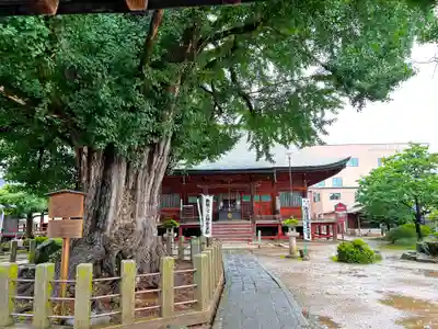 飛騨国分寺(岐阜県)