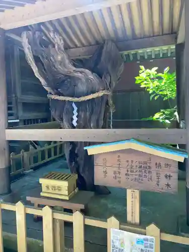 鶴嶺八幡宮(神奈川県)