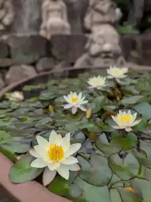 長善寺(東京都)