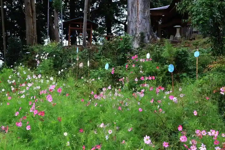 阿久津「田村神社」(郡山市阿久津町)旧社名:伊豆箱根三嶋三社の庭園