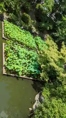 大谷本廟(京都府)