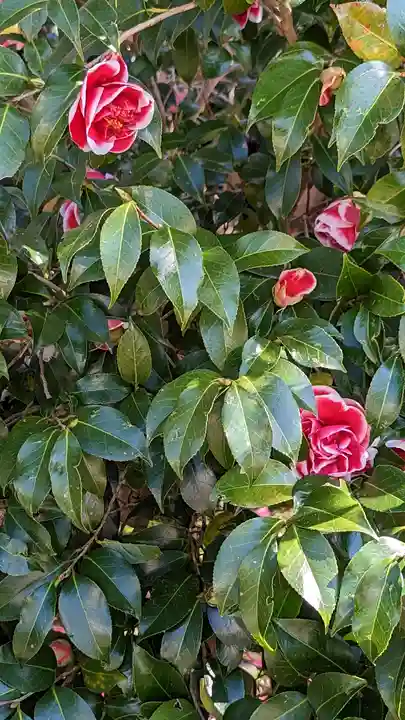 霊鑑寺門跡(京都府)