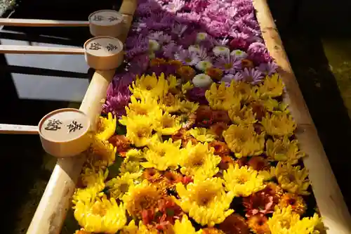 土津神社｜こどもと出世の神さまの手水