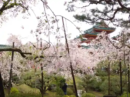 平安神宮の庭園