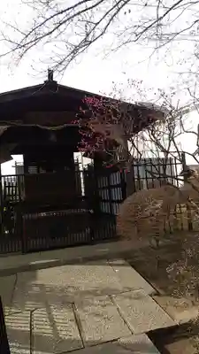 白山神社の末社・摂社