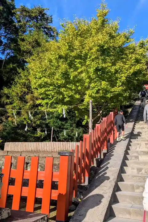鶴岡八幡宮(神奈川県)