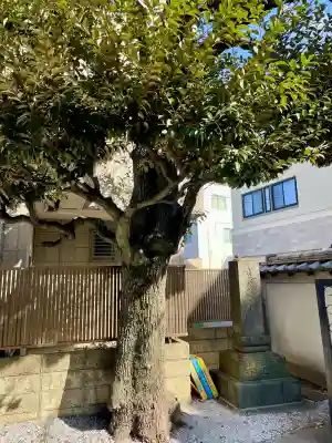 薬王寺(東京都)