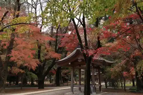 平林寺(埼玉県)