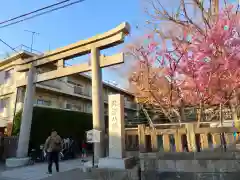 北澤八幡神社の鳥居