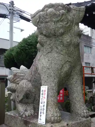 金刀比羅神社の狛犬