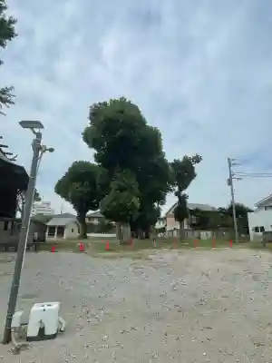 葛飾八幡宮(千葉県)