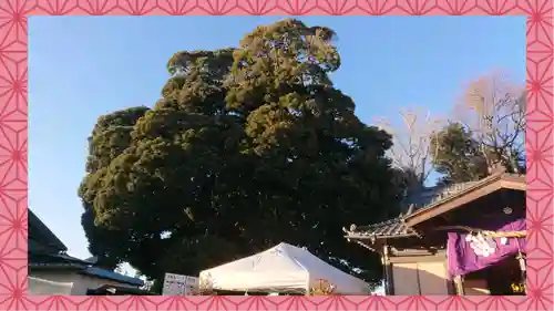 九重神社(埼玉県)