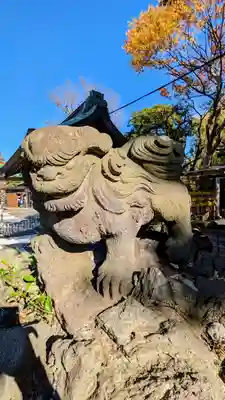 菊田神社の狛犬