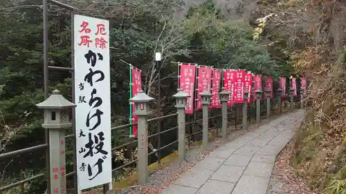 大山寺の体験その他