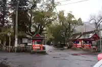 鹿児島神宮(鹿児島県)