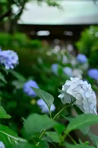 妙楽寺(神奈川県)