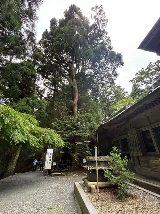 砥鹿神社(奥宮)の{uncategorized: "未分類", other: "その他", undefined: "問題あり", building: "その他建物", grave: "お墓", sacred_gate: "鳥居", guardian: "狛犬", statue: "像", buddha: "仏像", history: "歴史", nature: "自然", garden: "庭園", animal: "動物", pagoda: "塔", temizu: "手水舎", mountain_gate: "山門・神門", sanctuary: "本殿・本堂", subordinate: "末社・摂社", art: "芸術", scenery: "景色", jizo: "地蔵", ema: "絵馬", goshuin: "御朱印", omikuji: "おみくじ", items: "授与品その他", amulet: "お守り", goshuincho: "御朱印帳", eats: "食事", festival: "お祭り", votive_dance: "神楽", shichigosan: "七五三参", wedding: "結婚式", experience: "体験その他", initially: "初詣", around: "周辺", anti_infection: "感染症対策"}