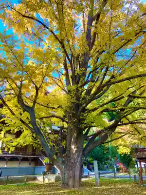 西念寺(茨城県)