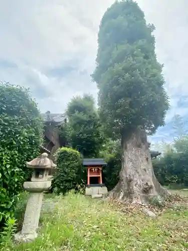 菱妻神社の自然