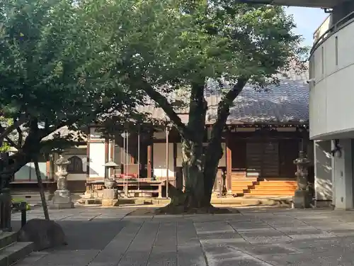 観明寺(東京都)