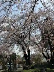 東雲寺(東京都)