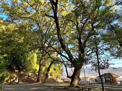 蛭児神社(鹿児島県)