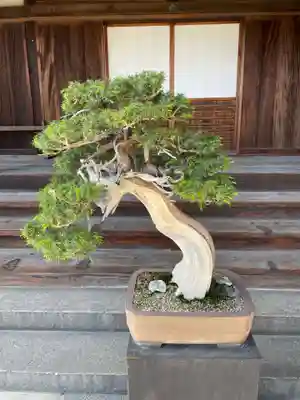 法徳寺(奈良県)