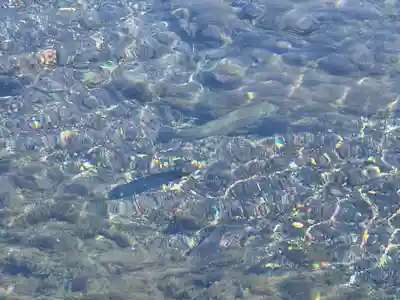 富士山本宮浅間大社(静岡県)