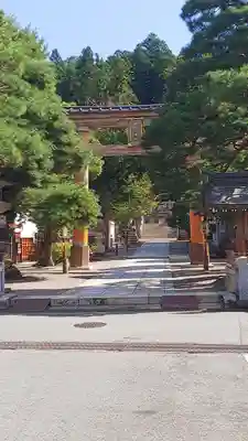 櫻山八幡宮の鳥居