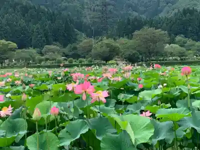 大塩八幡宮(福井県)