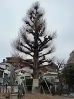 福王山 慈眼寺(東京都)