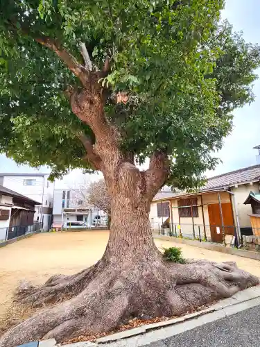 吉備彦神社の自然
