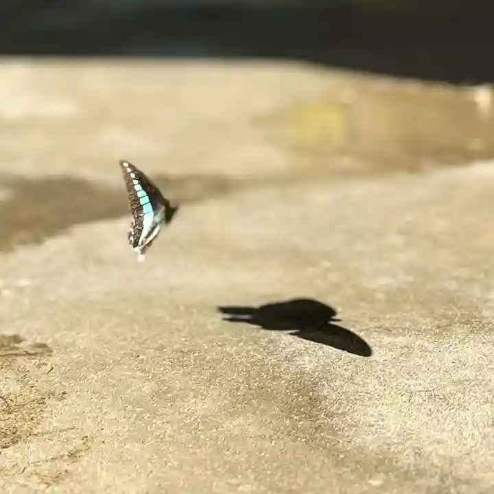 伊勢の国 四天王寺(三重県)