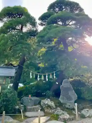 宝登山神社(埼玉県)