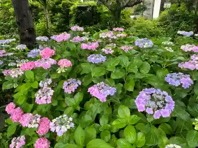 酒見神社(愛知県)