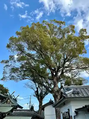 彌刀神社(大阪府)
